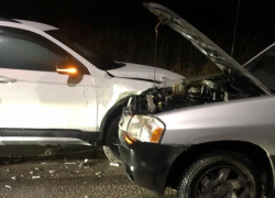 Массовая авария со сбитым пешеходом случилась в Воронежской области