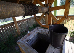 Соседям загадочно погибших в Воронеже мамы и младенца запретили пить воду из колодцев