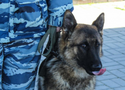 В Воронеже прошли обыски по делу коммунальной ОПГ