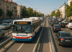 Как могла бы выглядеть схема метробуса, показали в Воронеже