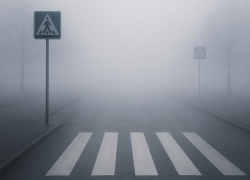 Надвигается опасная погода: туман накроет Воронежскую область 