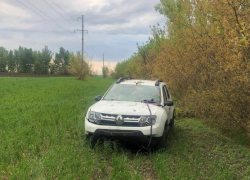 Пенсионер на Renault погиб после вылета в кювет под Воронежем