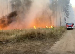Опубликовано видео из эпицентра жуткого лесного пожара под Воронежем