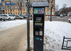 Стало известно, как будут работать платные парковки на новогодних каникулах в Воронеже 