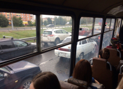 Воронежцев призывают на один день отказаться от использования автомобилей