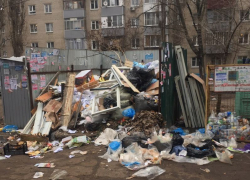 О перманентном мусорном апокалипсисе сообщили воронежцы с левого берега