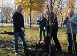 Почему зелёный щит Воронежа так и не стал реальностью