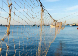 Конфискованные у браконьеров рыболовные снасти отправили в зону СВО 