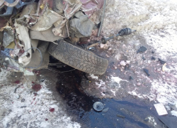 Вылет на встречку привел к смертельному ДТП в Воронежской области