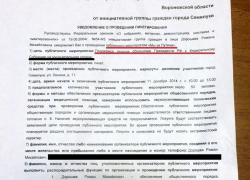 Семилукские чиновники отказали в проведении публичной акции "Мы за Путина!"