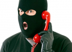 В Воронеже резко увеличилось число телефонных мошенников