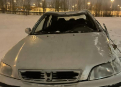 Автомобиль улетел в кювет из-за аномального снегопада и ветра на воронежской трассе М-4