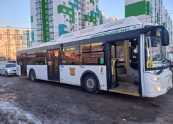 Автобус №6 сбил 13-летнюю школьницу в Воронеже 