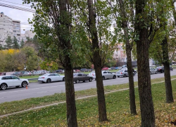 Гусеница из ДТП образовалась на Московском проспекте в Воронеже