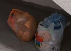 «Охота на свиней» началась в воронежском ЖК: горожане устали от мусора