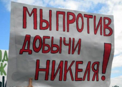 Федеральные политики порвали рубахи за и против воронежского никеля