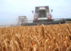 Телега с жаткой раздробила ногу механизатору в селе под Воронежем