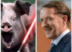 Конкурентов клиентелы Алексея Гордеева уточнили в воронежском правительстве