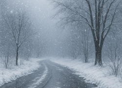  Воронежцев предупредили о скором снеге