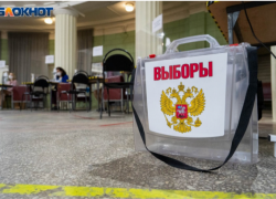 Подготовка к ЕДГ-2025 в Воронежской области вошла в активную фазу