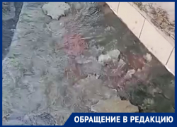 Под тротуарной плиткой в центре Воронежа открылся «родник»