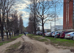 Лютое бездорожье на прекрасной аллее заметили в Воронеже