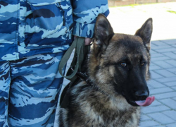 Замначальника воронежского отдела полиции арестовали на ж/д станции 