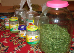 2,5 кг марихуаны изъяли у безработного жителя Воронежской области 