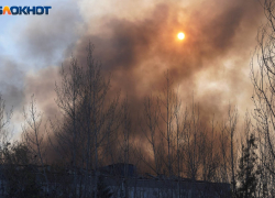 Названо количество беспилотников, атаковавших ночью Воронежскую область