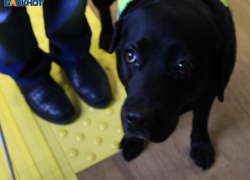 В Воронеже незаконно собирали деньги со слепых 19 лет подряд 