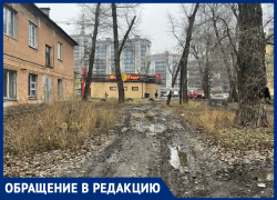 Ироничную благодарность передали Бородиной воронежцы из депрессивного района  