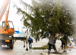  Елку с Марса установили в Воронежской области