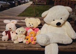 Семейная "история игрушек" появилась на воронежской улице