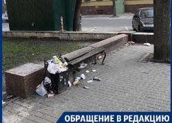 Превращение Петровского сквера в помойку возмутило воронежцев