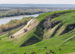 Нововоронежские школьники прославились на международном уровне 