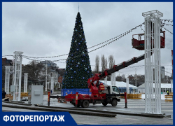 Новый год к нам мчится: как сейчас выглядит Адмиралтейская площадь с катком и бесплатной елкой 