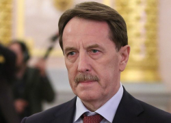 Свиноцид и культурная столица, - чем запомнился воронежцам Алексей Гордеев