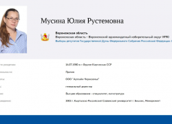Продавец дверей отворила ворота праймериз по выборам в Госдуму в Воронежской области