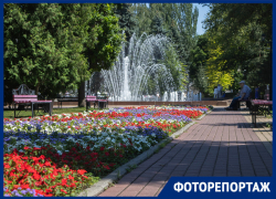 Как выглядит сквер Воронежа, на который каждый месяц тратят до миллиона рублей