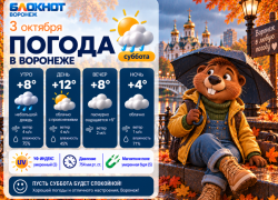 Готовимся к холодам: прогноз погоды в Воронеже