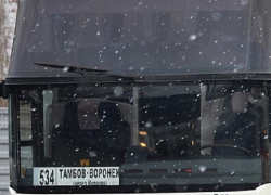 Последствия коронакризиса: Тамбов могут отдать Воронежской области