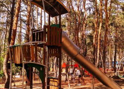 После падения ребенка с высокой горки в парке «Дельфин» заменят покрытие на детской площадке