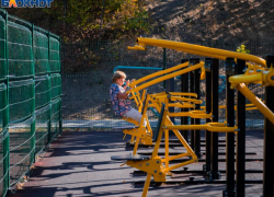 Один ребенок погиб и 300 получили травмы на детских площадках в Воронежской области 