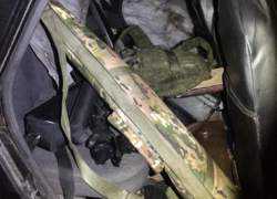 Массовый отстрел кабанов раскрыли в Воронежской области