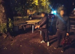 Пьяный парень до смерти забил пенсионера кулаками в Воронеже