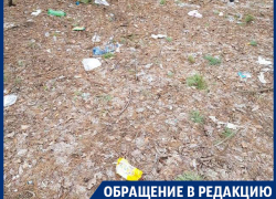 Северный лес в Воронеже превратили в свалку