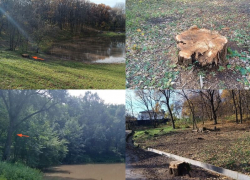 Воронежцы сообщили об уничтожении деревьев около пруда в Центральном парке
