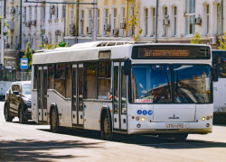 Схему движения популярных автобусных маршрутов временно изменят в Воронеже