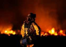 В Воронежской области следователи выясняют, как на пожаре погибли два человека 