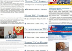 На самоизоляции «Единая Россия» думала о ТОСах, а эсеры – о гастарбайтерах
